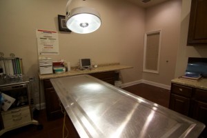 Pet Vets Animal Hospital
