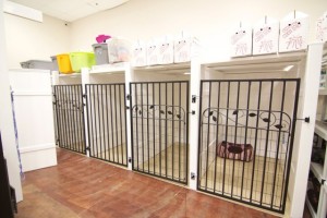 Pet Resort Rooms